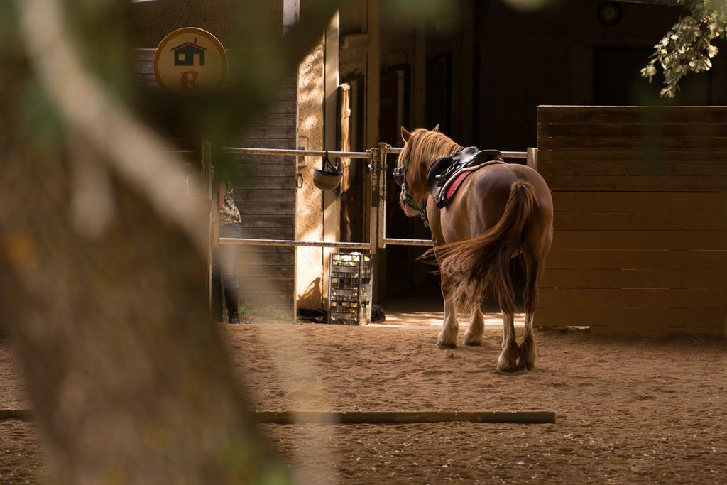 ピアーナ・デッリ・アルバネージ Valle Himaraゲストハウス エクステリア 写真